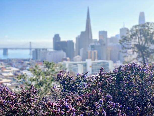 istock View of San Francisco from Russian Hill Park 1280377587