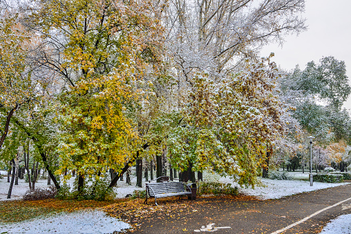 First snowfall in bright colorful city park in autumn. Lonely bench on alley under trees brabches with golden, green, orange foliage white snow covered. First snow in late fall - weather forecast concept