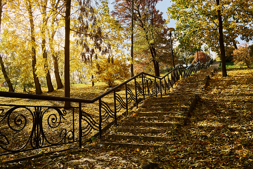 Steps with a metal handrail lead up the park. Yellow-red trees covered the whole earth with leaves. The sun breaks through the leaves of the trees.