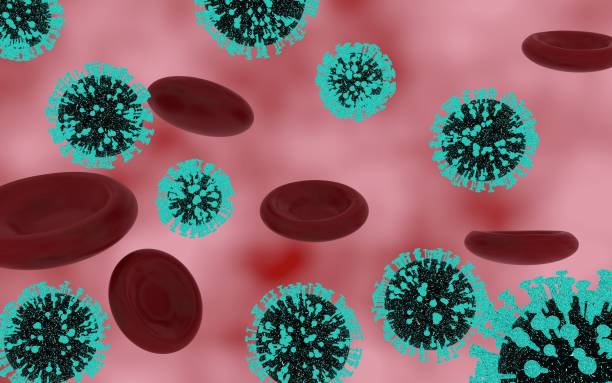 istock 3d rendering of red blood cells and covid-19 cells floating 1280384079