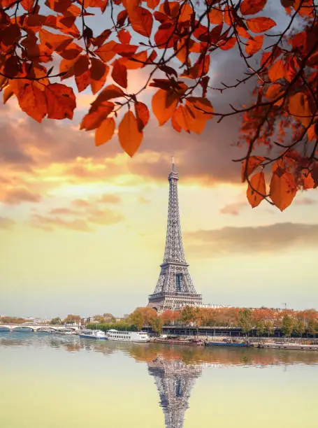 Photo of Eiffel Tower with autumn leaves against colorful sunset in Paris, France