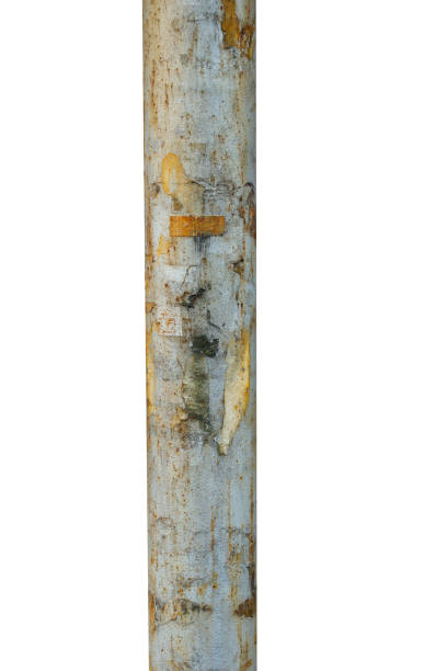 istock old metal pole isolated on white background 1280385965