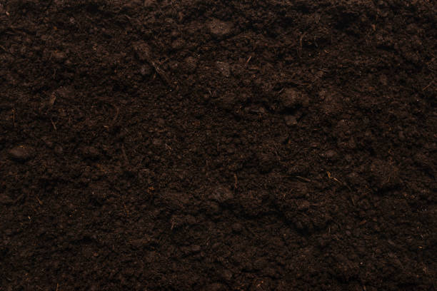 istock Black land for plant background. 1280386056