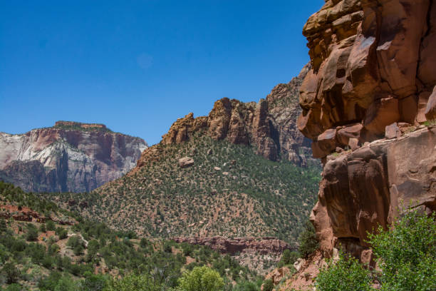 istock Sandstone cliff in Zion 1280386929