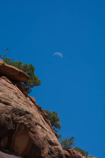 istock Moon during the day in Zion 1280386963