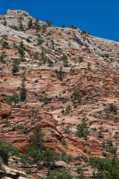 istock Rock layers in East Zion 1280386973