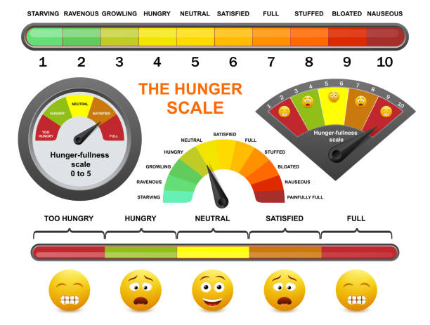 Hunger fullness scale, flat vector illustration. Intuitive eating, appetite control, mindful eating for weight loss. Hunger fullness meter, flat vector illustration. Happy, sad yellow smile, emoticon faces and hunger rating scale. Intuitive eating, appetite control, mindful eating for weight loss and health. hungry stock illustrations