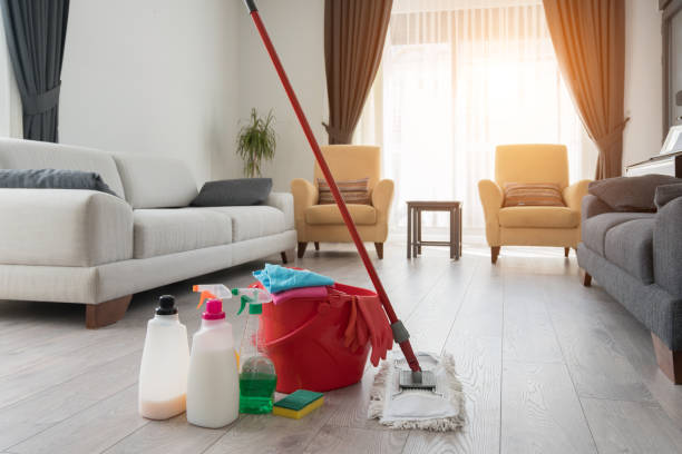 vários produtos de limpeza em casa. - trabalho doméstico - fotografias e filmes do acervo