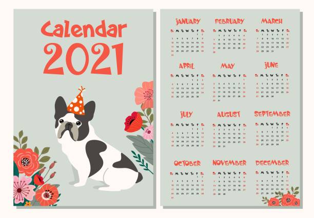 Cute Stylized Monthly Calendar For 2021 With Funny Bulldog And Flowers Can  Be Used For Banner Poster Postcard Postcard And For Printing Stock  Illustration - Download Image Now - iStock