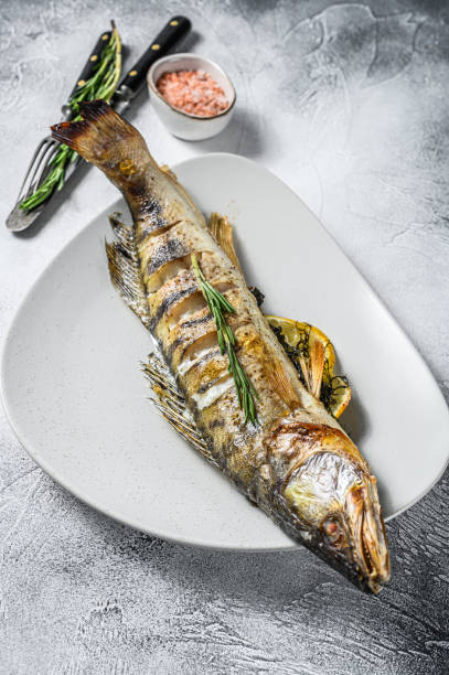 istock Baked pike perch, pikeperch fish. Gray background. Top view 1280389802