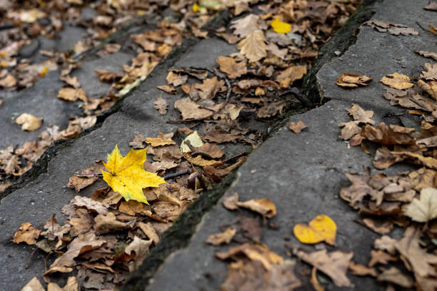 istock Fall leaves background. Fallen maple leaves on the old textured stone staircase - fall October landscape. 1280390992