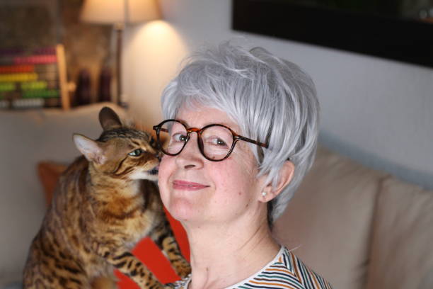 istock Senior woman with exotic bengal cat 1280393312