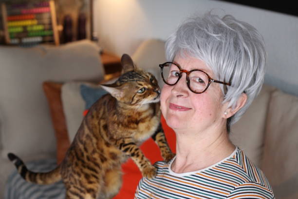 istock Senior woman with exotic bengal cat 1280393333