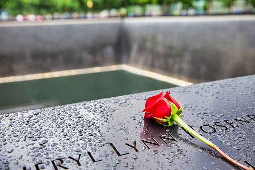 New York City, United States - May 31, 2018: A single red rose of remembrance at the September 11 memorial in New York City