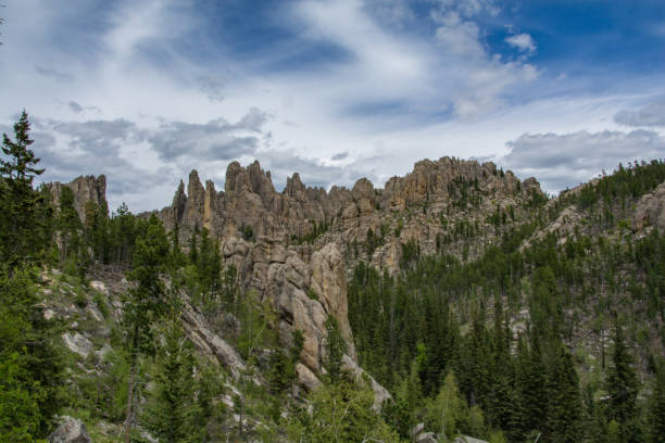 Cathedral Spires in the Black Hills of South Dakota Custer State Park custer state park stock pictures, royalty-free photos & images