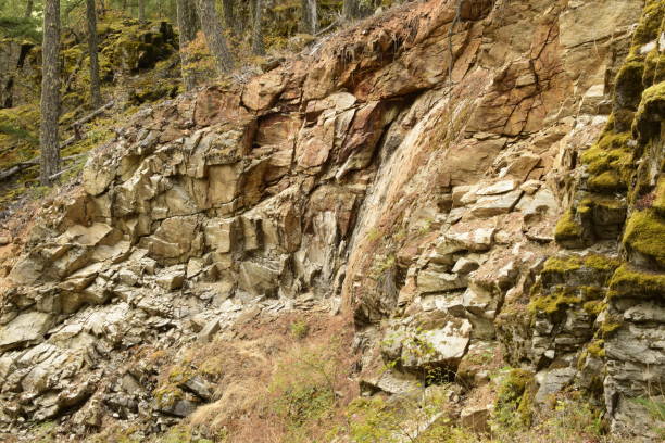 istock Close Up Of Rock Formation Inside Forest 1280398709