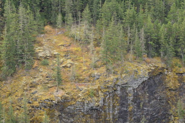 istock Sheer Rockface With Vivid Moss and Lush Trees 1280399667