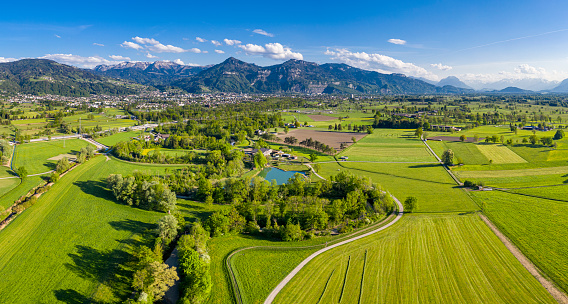 Aerial view of the riverside forest of the Dornbirner Ach and the mountains in Vorarlberg, the most western state of Austria.