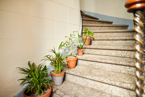 Shot of spiral steps in a building with potted plants