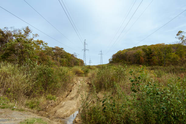 High-voltage power lines along a clearing through the autumn forest.