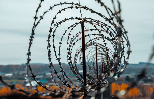 sicherheit mit einer stacheldrahtspirale am zaun. - detention center stock-fotos und bilder