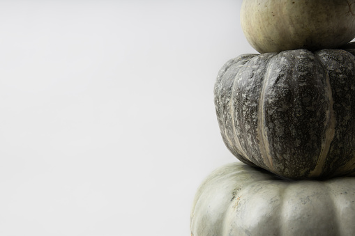 Composition in natural trendy shades. Real fresh gray pumpkin on white paper background with text place. Side view.