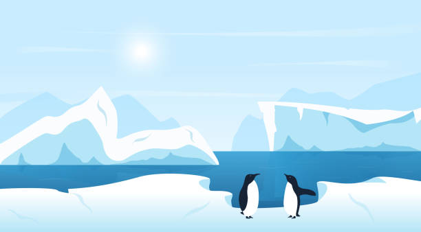 illustrazioni stock, clip art, cartoni animati e icone di tendenza di bellissimo paesaggio artico o antartico con iceberg e pinguini. clima freddo sfondo panoramico invernale ghiacciato settentrionale. - iceberg ice mountain arctic