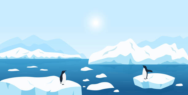 schöne arktische oder antarktische landschaft. nordlandschaft mit großen eisbergen, die im ozean und pinguinen schwimmen. schneeberge hügel, malerische nördliche eisige natur hintergrund. - iceberg ice glacier cartoon stock-grafiken, -clipart, -cartoons und -symbole