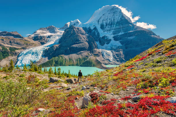 un randonneur admire la vue du mont robson dans les rocheuses canadiennes canada - parks canada photos et images de collection