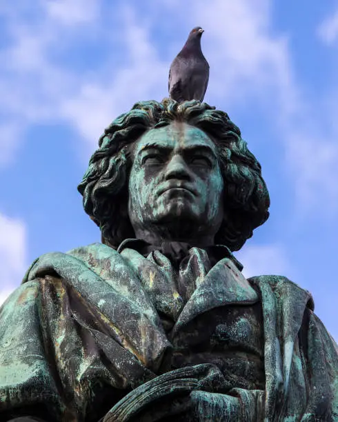 A Pigeon sits on the statue of famous composer Ludwig van Beethoven, located on Munsterplatz in the city of Bonn in Germany.  Bonn was the birthplace of Beethoven in 1770.