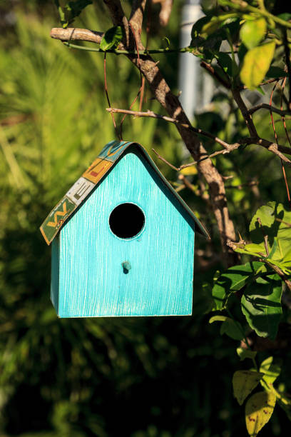 istock Aqua blue metal birdhouse hangs from a lemon tree 1280423671