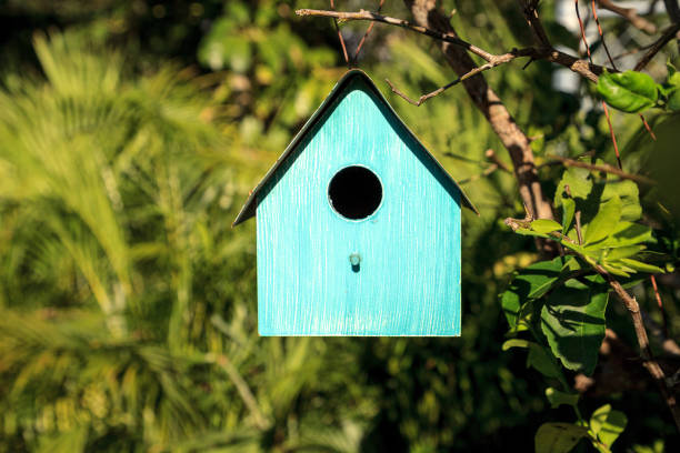 istock Aqua blue metal birdhouse hangs from a lemon tree 1280423693