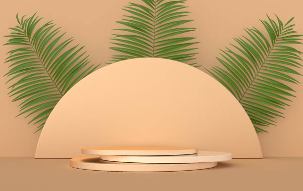 istock 3d rendered studio with geometric shapes, podium on the floor. Platforms for product presentation, mock up background. Abstract composition in minimal design, tropic palm leaves 1280424502