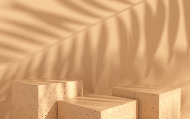 3d rendered studio with geometric shapes, podium on the floor. Platforms for product presentation, mock up background. Abstract composition in minimal design, tropic palm leaves shadow