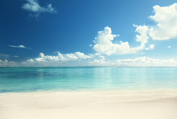 istock tropical beach, Dominican republic 1280428743