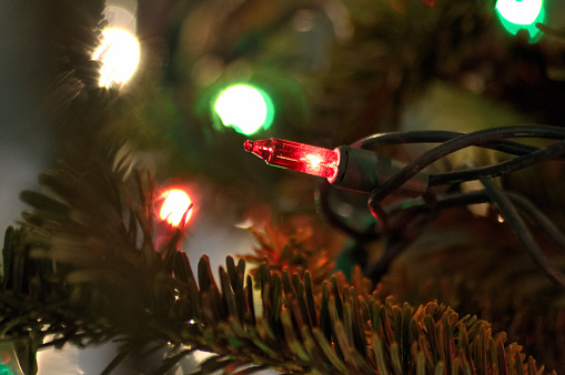Detailed view, macroophotography of a red holiday string light bulb on the Christmas tree