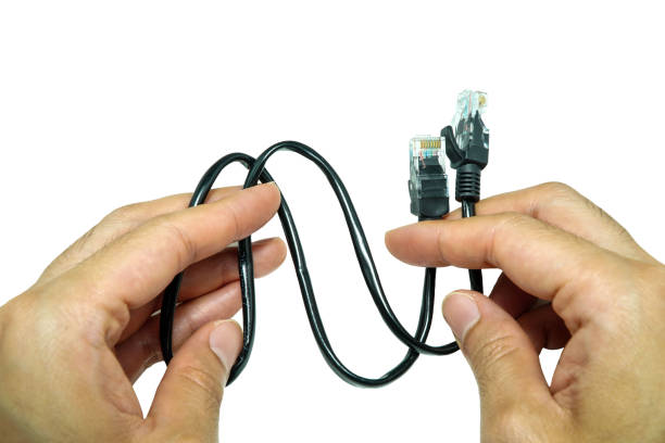 istock Hand holding black internet cables. Clipping path included. 1280438395