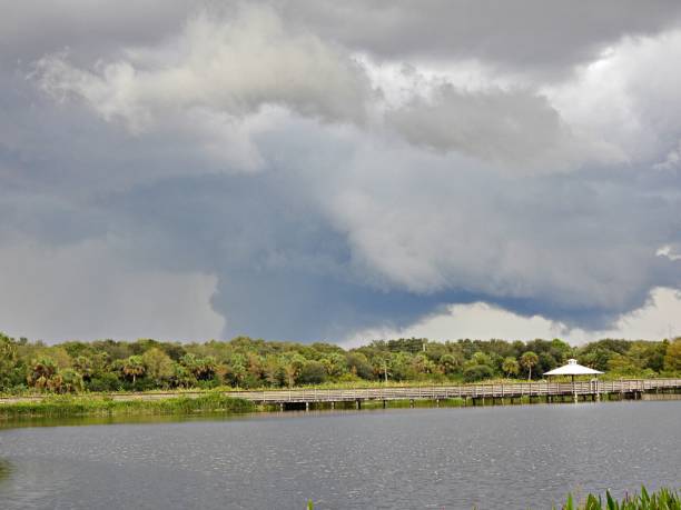 florida feuchtgebiete an einem stürmischen tag - sky dramatic sky cloudscape passion stock-fotos und bilder