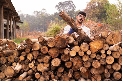 Photo of young man carring logs. Pile of firewood.