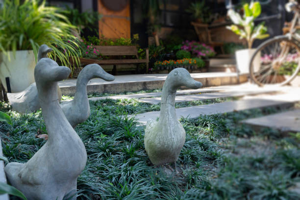 istock Tropical garden plants in summer 1280442651