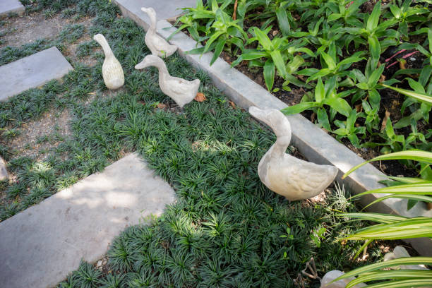 istock Tropical garden plants in summer 1280442662