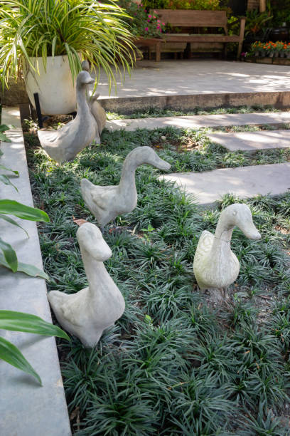 istock Tropical garden plants in summer 1280442668
