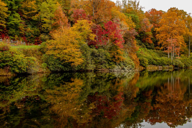 istock Autumn reflections on the pond 1280443303