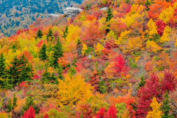 istock Vibrant autumn colors in the mountains 1280443404