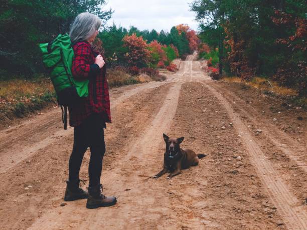 Beautiful Senior woman hiking with backpack and her dog. stock photo