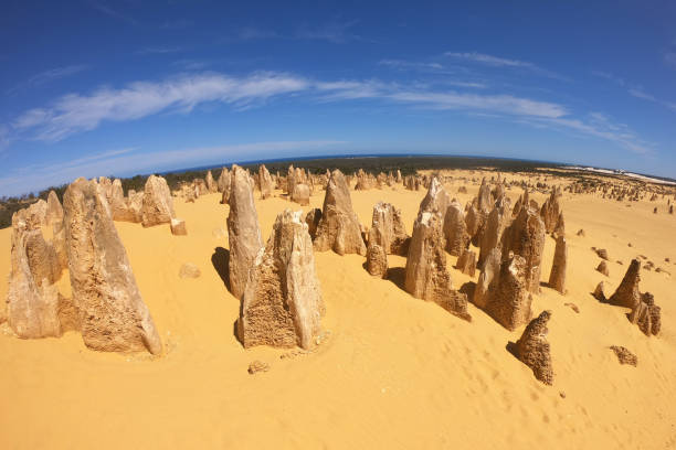 vista del paisaje aéreo de las formaciones de piedra caliza del desierto de pinnacle - nambung national park fotografías e imágenes de stock