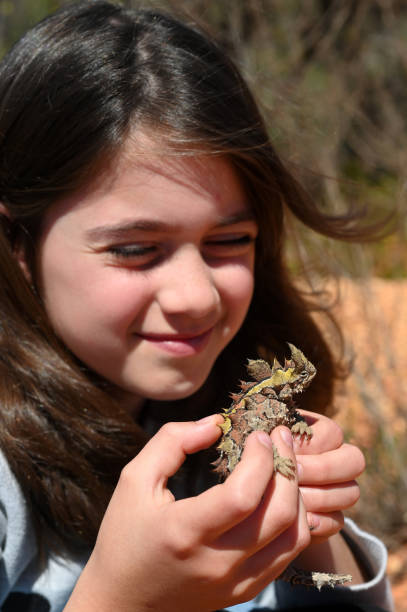 istock Young Australian girl holding a Thorny Devil 1280453415