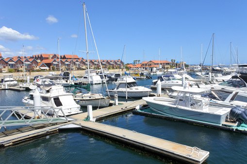 Miami, Florida, USA - February 21, 2023: Madness for luxury yachts crowding near downtown Miami.