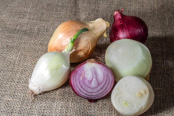 istock Red, yellow and white onions on white background in Brazil 1280455013