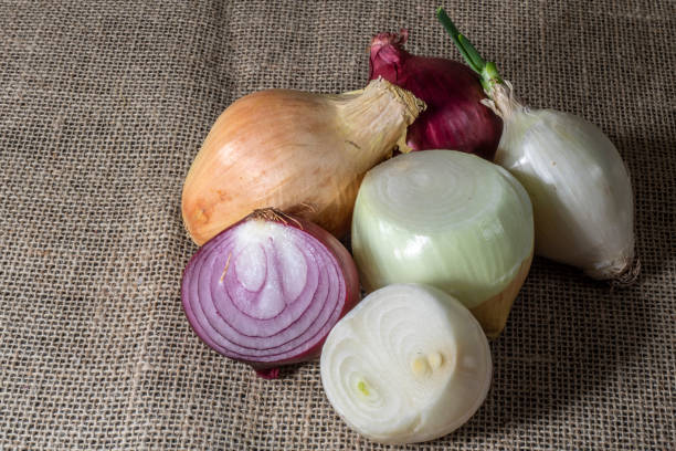 istock Red, yellow and white onions on white background in Brazil 1280455047